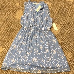 Collective Concepts Dress